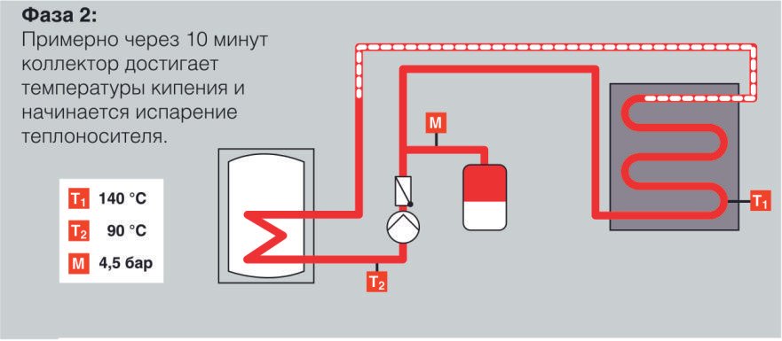 2 фаза стагнации