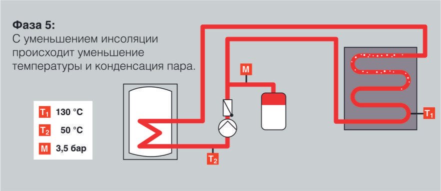 5 фаза стагнации